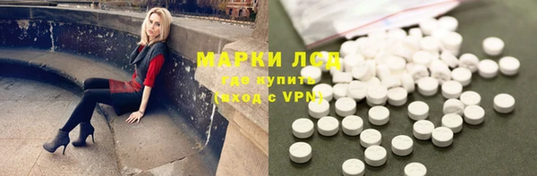 шишки Лагань