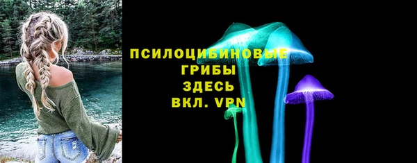 винт Лабытнанги