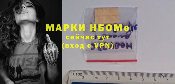 шишки Лагань