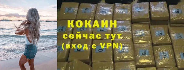 шишки Лагань