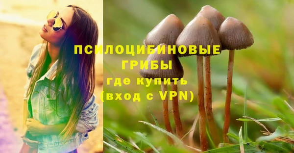 винт Лабытнанги