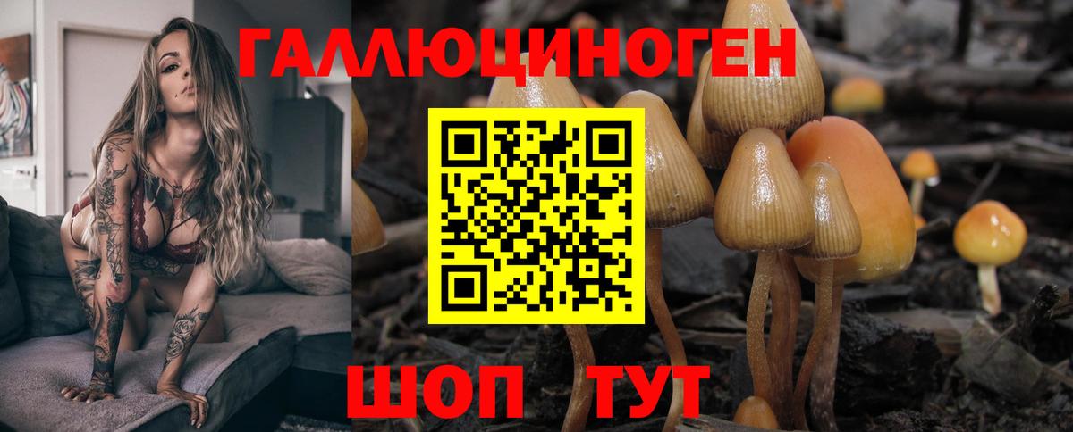 Псилоцибиновые грибы Psilocybine cubensis Мелеуз