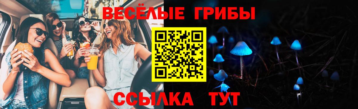 Псилоцибиновые грибы прущие грибы  Вход с VPN  Мелеуз  Псилоцибиновые грибы Cubensis 